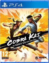 Cobra Kai : The Karate Kid Saga Continues (PS4)