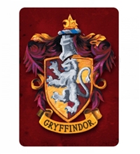 Kovový dekorační magnet Harry Potter: EGryffindor znak set 6 kusů (6,5 x 9 cm)