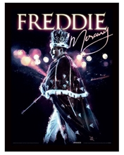 Obrázek v rámečku Freddie Mercury: Royal Portrait (30 x 40 cm)