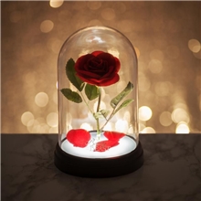 Paladone Disney Beauty and the Beast - Enchanted Rose Light (PP4344DPV3)