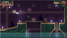 Alwas Collection - Limited Edition (SWITCH)