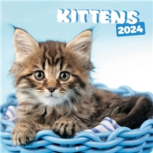 Oficiální nástěnný kalendář 2024 16 měsíců Simon K. & Greg C.: Kočky (30 x 30 60 cm)