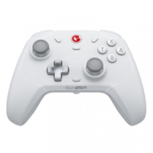 GameSir T4 C Multi-Platform Gaming Controller (SWITCH/PC)