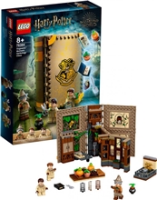 LEGO® Harry Potter™ 76384 Hogwarts Moment: Herbology Class