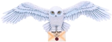 Harry Potter Hedwig Wall Plaque 45cm