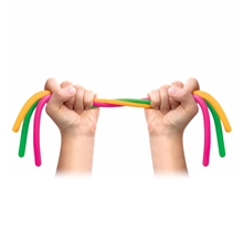 Schylling Stretchy Noodle