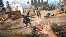 Far Cry 5 (PS4) (SALE)