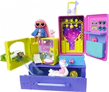 Barbie Extra minis and pets