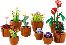 LEGO® Icons 10329: Tiny Plants
