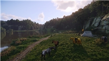 Kingdom Come: Deliverance II - Standard Edition (XSX)