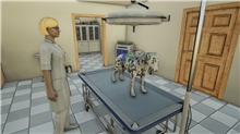 Animal Doctor (Code in a Box) (SWITCH)