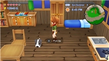Harvest Moon: The Lost Valley and Skytree Village (SWITCH)