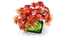LEGO® Botanicals 10348: Japanese Red Maple Bonsai Tree