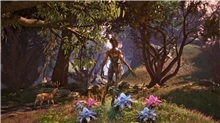 The Elder Scrolls IV: Oblivion Remastered (XSX)