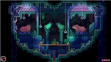 Animal Well (SWITCH)