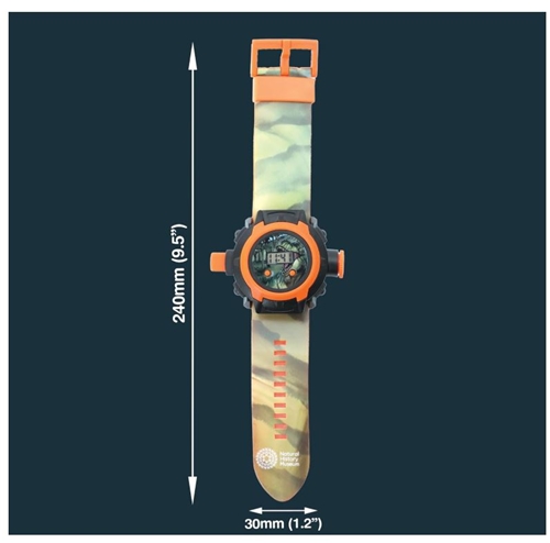 Dinosaur Projector Watch