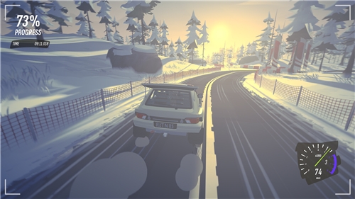 DRIVE Rally - Special Edition (SWITCH)