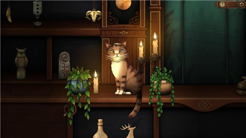 Strange Horticulture & Antiquities (SWITCH)