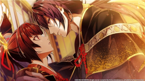 Birushana: Winds of Fate (SWITCH)
