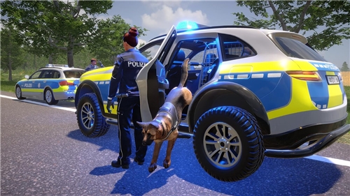 Autobahn Police Simulator 3 - Complete Edition (PS4)