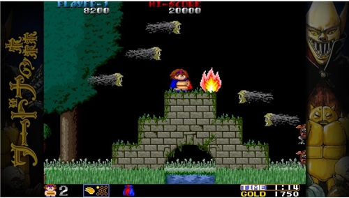 Toaplan Arcade Garage: Flying Fire Shark (PS4)