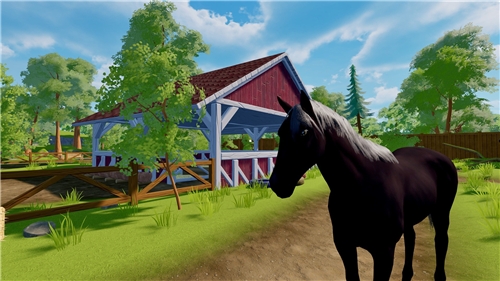Sophias Animal Clinic (PS4)